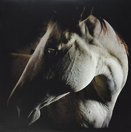 Brother Dege: How to Kill a Horse - Record