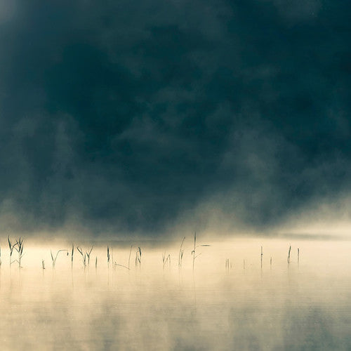 Oneirogen: Convivium - Record