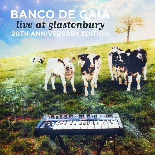 Banco de Gaia: Live At Glastonbury: 20th Anniversary Edition - Record