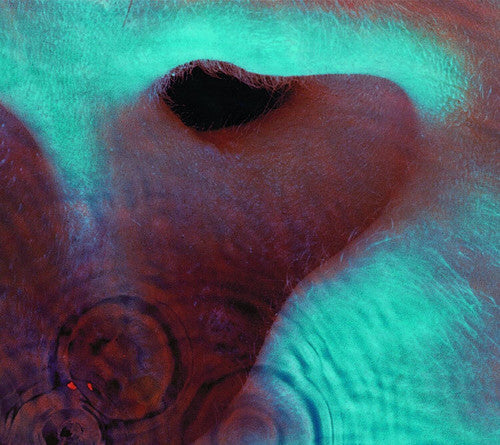 Pink Floyd: Meddle - CD