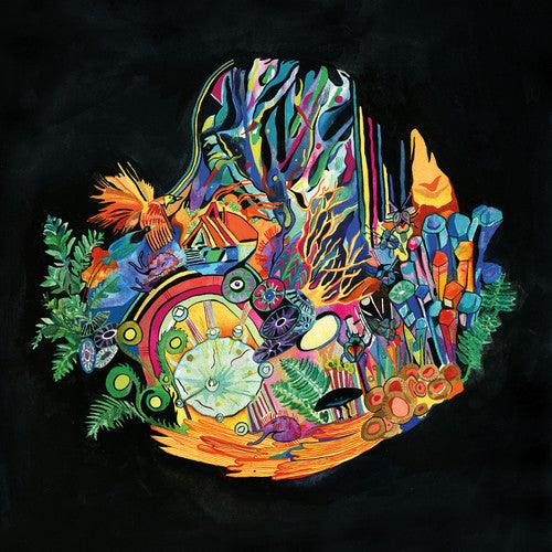 Kaitlyn Aurelia Smith- Ears { VINYL LP }