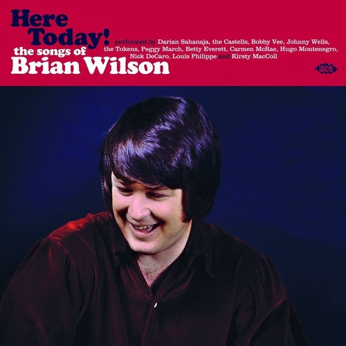 Here Today! Songs Of Brian Wilson / Various Uk- Here Today! Songs Of Brian Wilson / Various { VINYL LP }