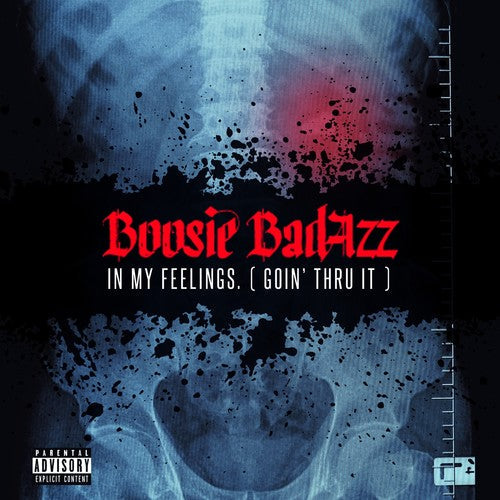 Boosie Badazz: In My Feelings (Goin' Thru It) - Record