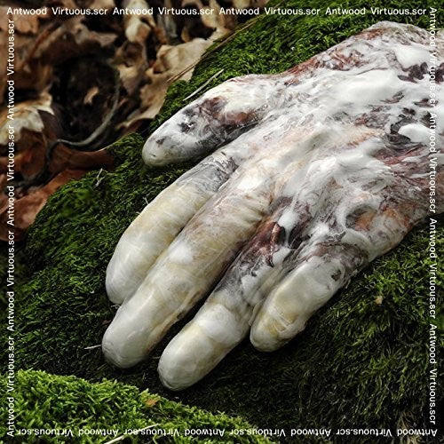 Antwood: Virtuous.Scr - Record
