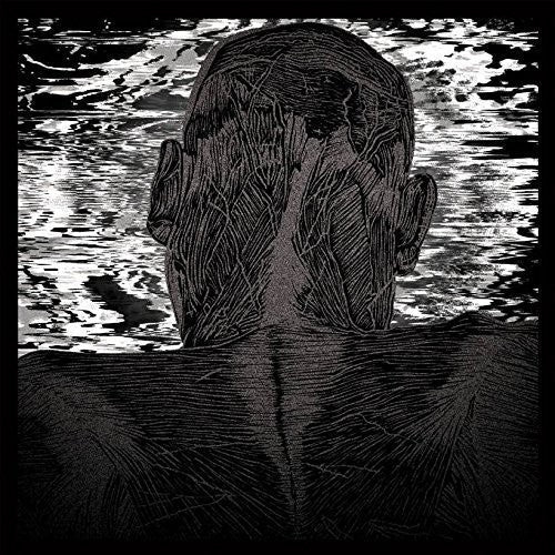 Asher Levitas: Lit Harness - Record