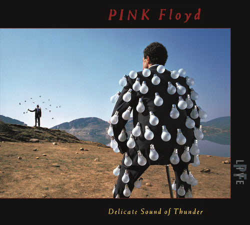 Pink Floyd: Delicate Sound Of Thunder (Live) - CD