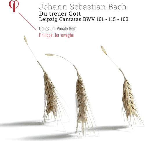 Bach, J.S. / Herreweghe: Du Treuer Gott / Leipzig Cantatas - Record