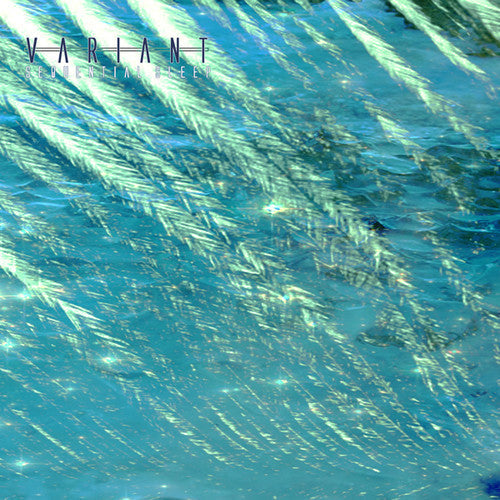 Variant: Sequential Sleep [ver1.2] - Record
