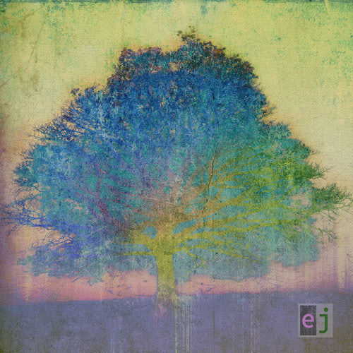 Eric Johnson: EJ - Record