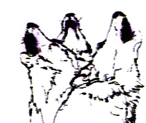 Fjaak: Wolves / Pray For Berlin - 12-INCH SINGLE