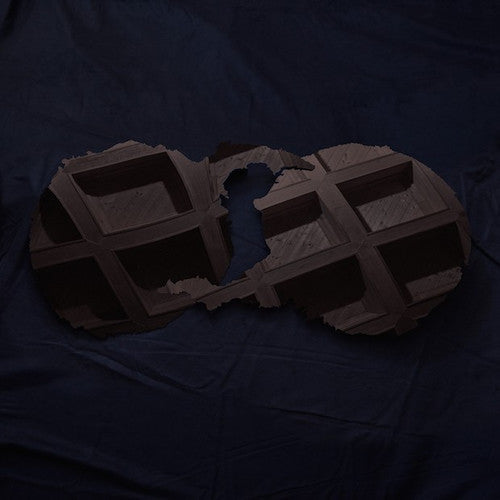 Dirty Projectors: Dirty Projectors - VINYL