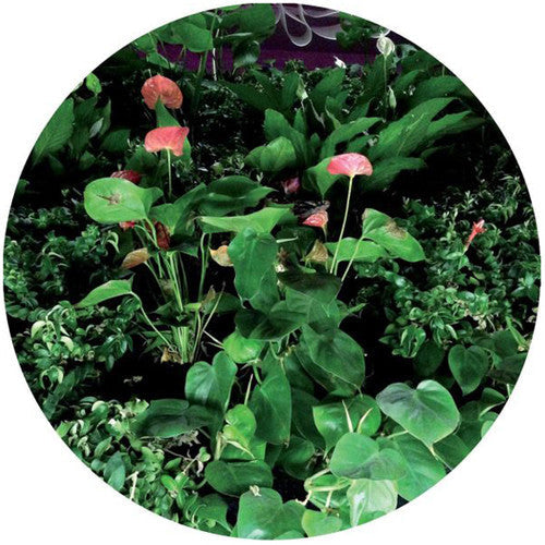 Universo: Underworld - 12-INCH SINGLE