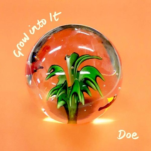 Doe: Grow Into It - CASSETTES