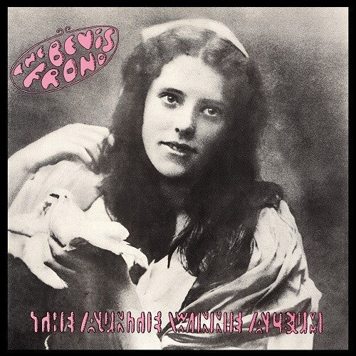 The Bevis Frond- The Auntie Winnie Album { VINYL LP }
