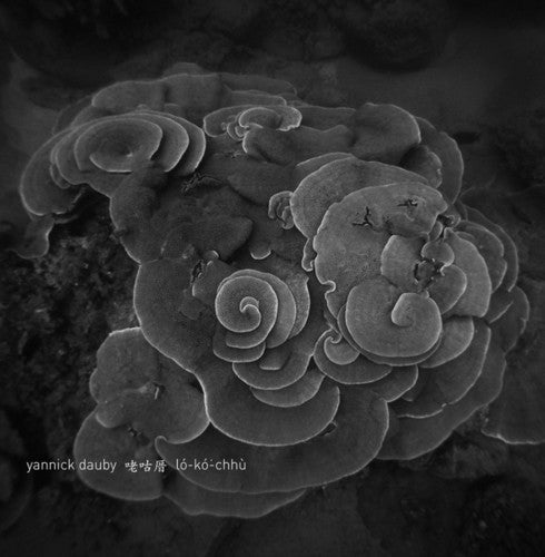 Yannick Dauby: Penghu Experimental Sound Studio 2 - Record