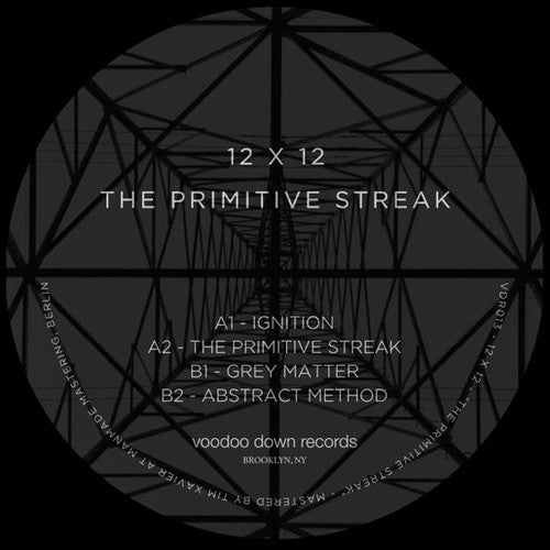 12 X 12: The Primitive Streak - Record