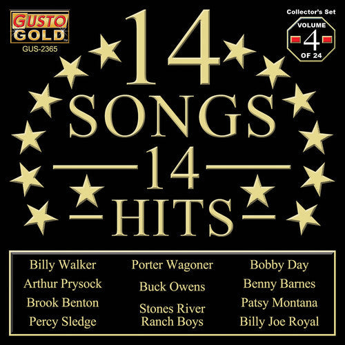 Various Artists: 14 Songs 14 Hits (Various Artists) - Record