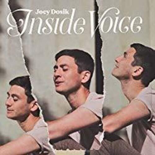 Joey Dosik: INSIDE VOICE - VINYL