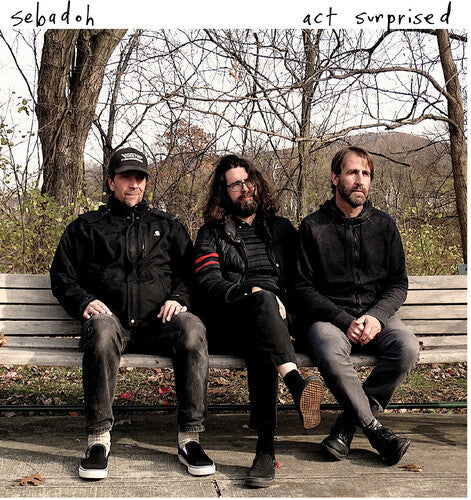 Sebadoh: Act Surprised - VINYL