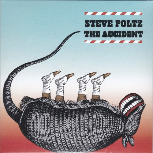 Steve Poltz: The Accident - Record