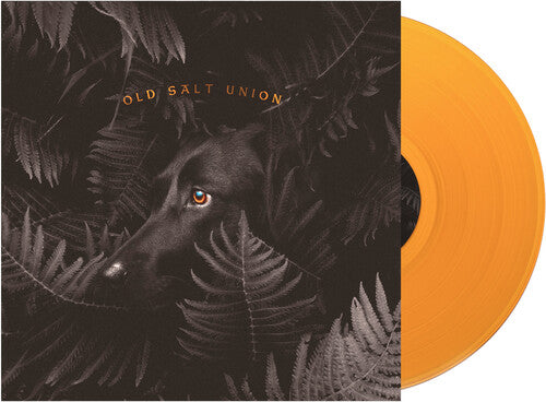 Old Salt Union: Where The Dogs Don't Bite - Record