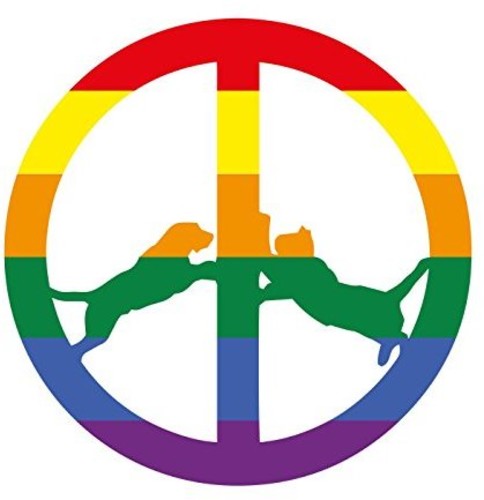 Hype Williams: Rainbow Edition - Record