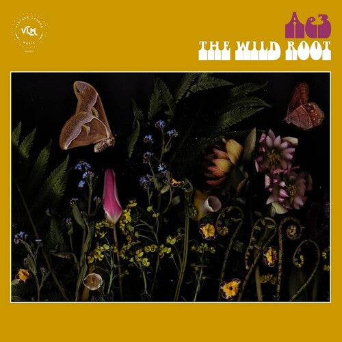Ae3 (Alan Evans Trio): The Wild Root - CD