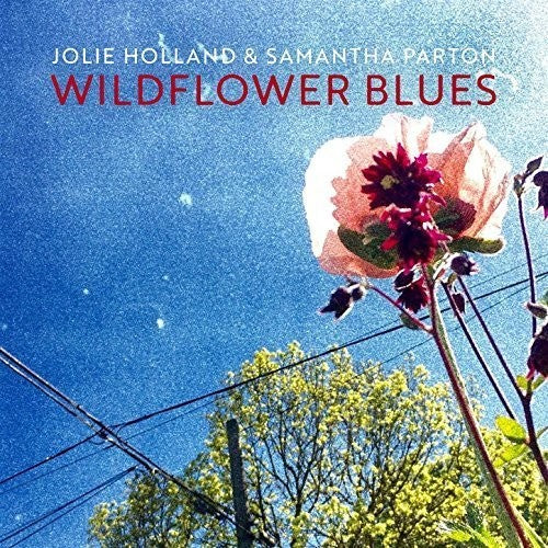 Jolie Holland: Wildflower Blues - Record