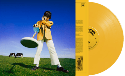 Declan McKenna- What Happened To The Beach? (Indie Exclusive Vinyl) { VINYL LP }