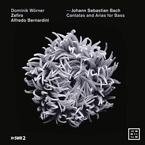 Bach, J.S. / Bernardini / Worner: Cantatas & Arias for Bass - Record