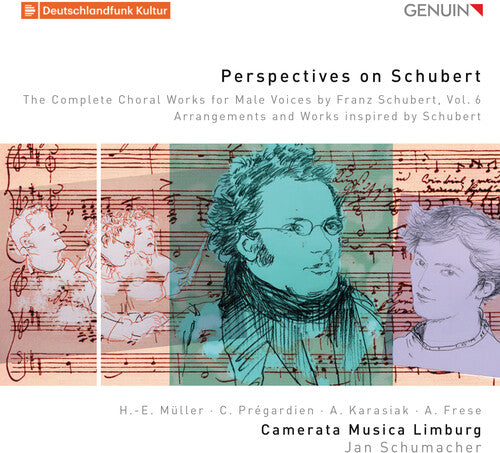 Various Artists: Perspectives on Schubert 6 - Record
