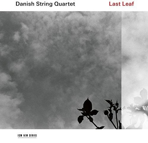 Danish String Quartet: Last Leaf - Record