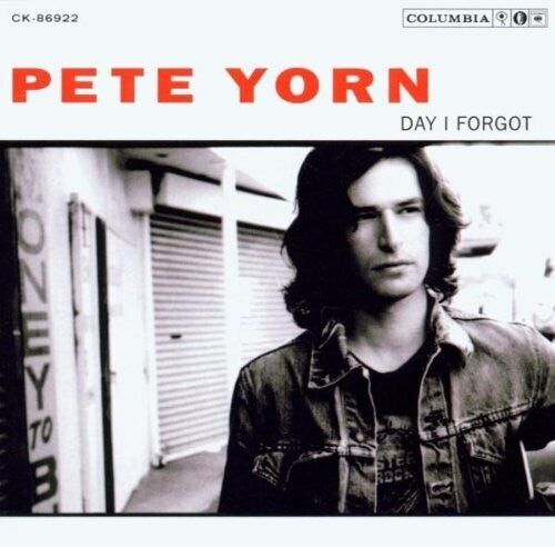 Pete Yorn: Day I Forgot - VINYL