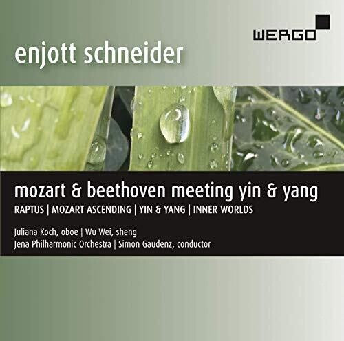 Schneider / Koch / Gaudenz: Meeting Yin & Yang - Record