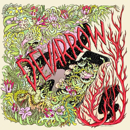 Devarrow: Devarrow - Record