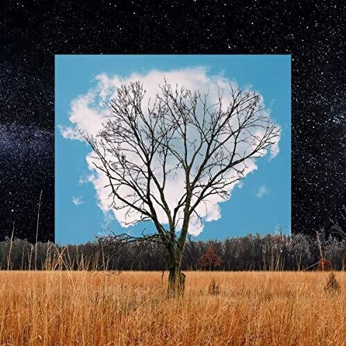 Fink: Bloom Innocent - Record