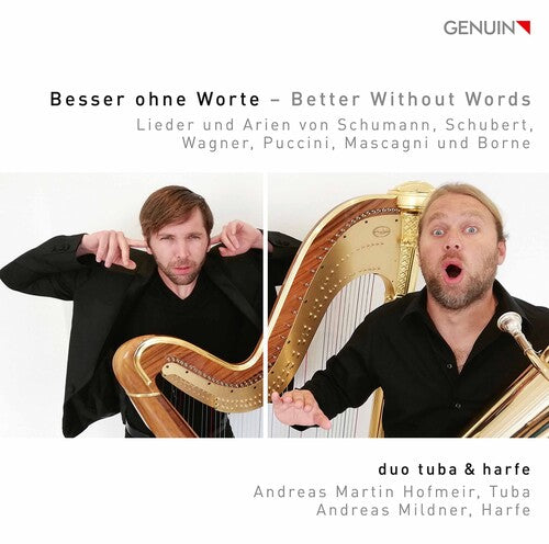 Various Artists: Better Without Words - Record