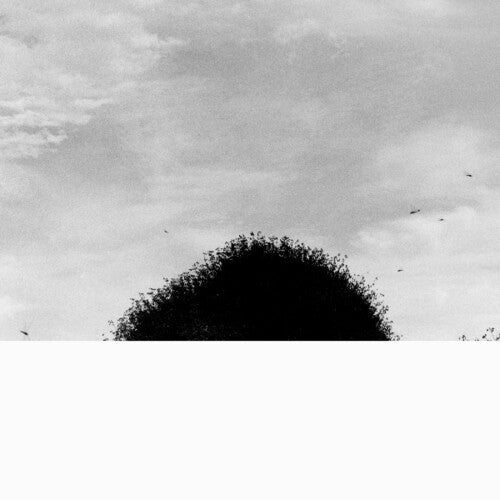 Chihei Hatakeyama: Forgotten Hill - Record