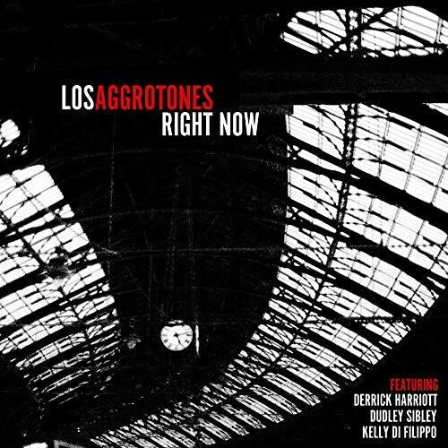 Los Aggrotones: Right Now - VINYL