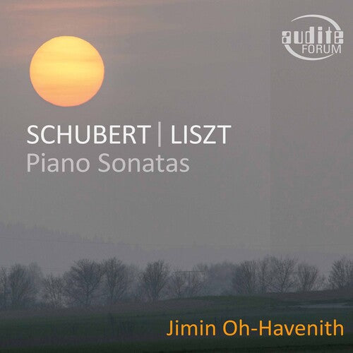 Liszt / Oh-Havenith: Piano Sonatas - Record