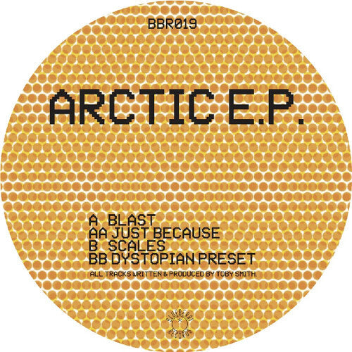 Secret Static: Arctic - Record