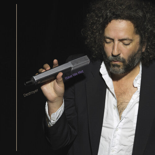 Destroyer: Have We Met - VINYL