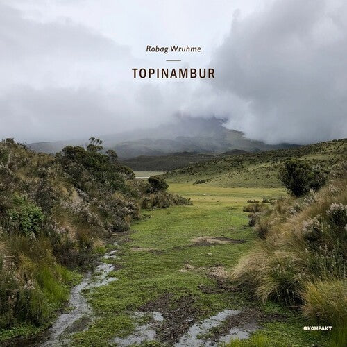 Robag Wruhme: Topinambur - Record