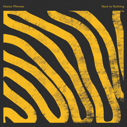 Hector Plimmer: Next To Nothing - VINYL