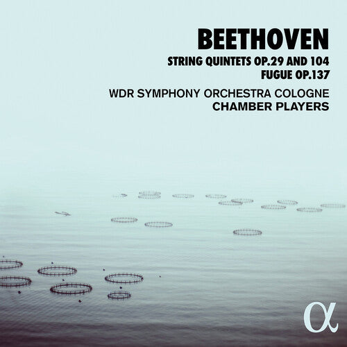 Wdr Sinfonieorchester Cologne Chamber Players: String Quintets 29 & 104 - Record