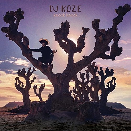 DJ Koze: Knock Knock - Record
