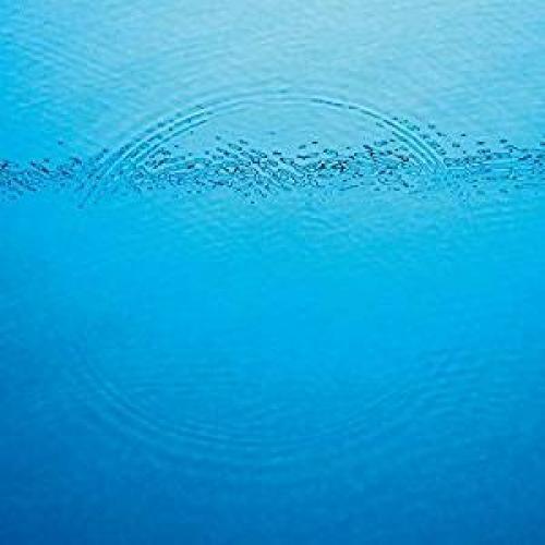 Caribou- Suddenly { VINYL LP }