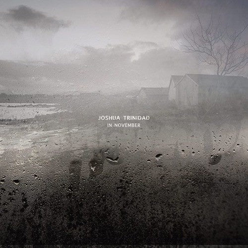 Joshua Trinidad- In November [180 Gram] { VINYL LP }