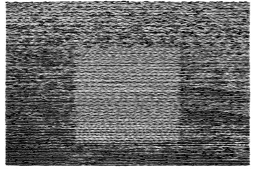 Grouper- Grid Of Points [LP] { VINYL LP }