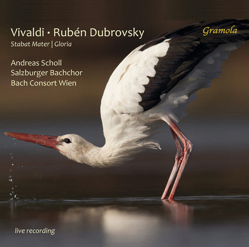 Vivaldi / Herfurtner / Bachchor: Stabat Mater / Gloria - Record
